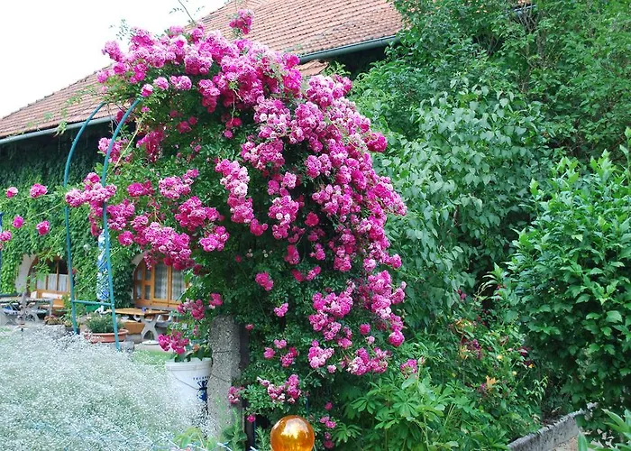 Gastehaus Jesse * סנט קנזיאן