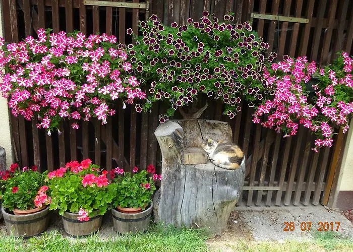 Gastehaus Jesse בית אירוח *